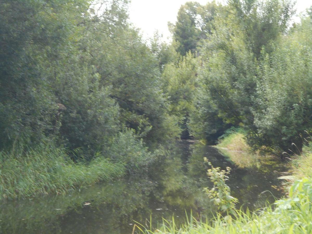 Апартаменты Fewo Fleckeby An Der Schlei Экстерьер фото